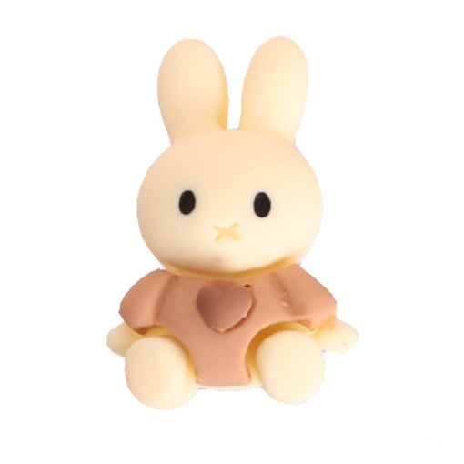 White Baby Bunny Sitting